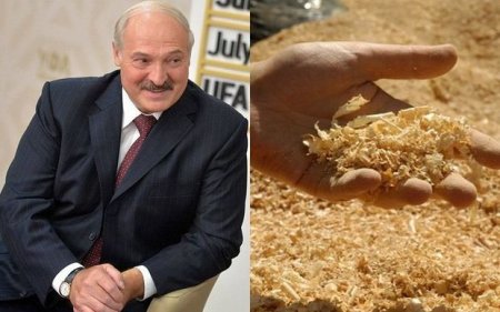 Lukaşenko neft və qaza alternativ tapdı