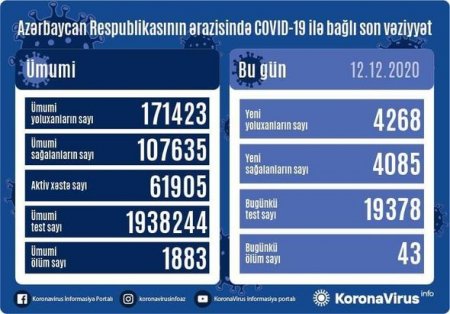 Azərbaycanda daha 43 nəfər koronavirusdan öldü: 4268 yeni yoluxma - FOTO