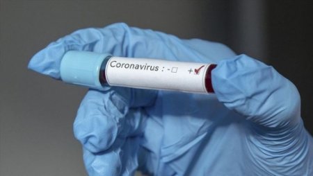 Koronavirusun daha sürətlə yayılan növü aşkarlandı