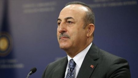 Çavuşoğlu 20 Yanvar şəhidlərini andı: “Qərənfillər Xarı bülbüllə birgə çiçəkləyir” - FOTO