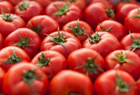 Qazaxıstan Azərbaycandan pomidor idxalını dayandırdı