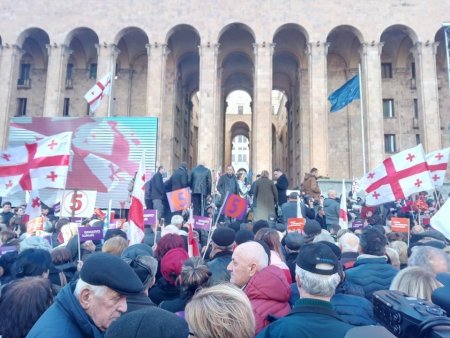 Borçalı türkləri partiya yaradır? - “Azərbaycanlılar bütün təşkilatlarda olmalıdır"