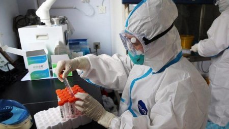 Koronavirusun Hindistan mutasiyası anticisimlərə dayanıqlıdır - ÜST