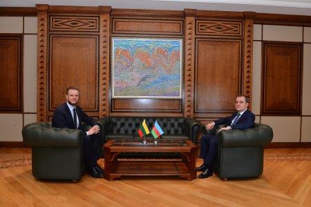 Ceyhun Bayramov Litva Respublikasının xarici işlər naziri Qabrielius Landsberqis ilə görüşdü