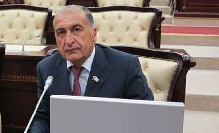Deputat: “Jirinovski saray təlxəyi kimi siyasi klounluqla məşğuldur”