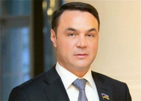 Milli Məclis: “Eldəniz Səlimova deputat maaşı veriləcək”