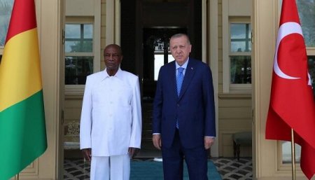 Prezident Erdoğan Qvineya prezidenti ilə görüşdü