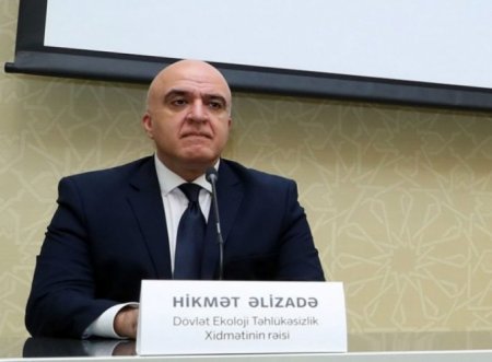 Hikmət Əlizadə: kustar üsulla kömür hazırlanması prosesi təkcə təbiətə deyil, insan sağlamlığına da ciddi ziyan vurur