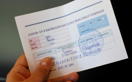 Lerikdə saxta “COVİD-19" pasport satanlar saxlandı