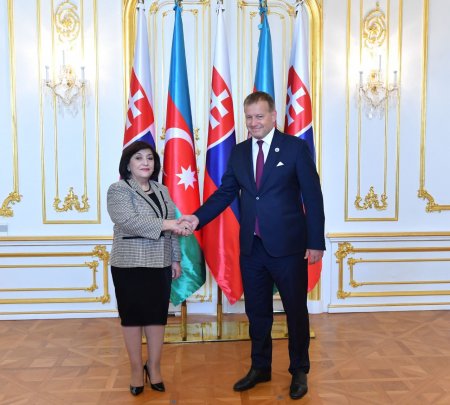 Milli Məclisin sədri Sahibə Qafarova  Slovakiya Milli Şurasının sədri Boris Kollar ilə görüşüb