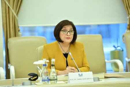Milli Məclisin sədri Sahibə Qafarova NATO nümayəndə heyəti ilə görüşüb