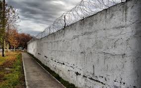 Amnistiya aktının Penitensiar Xidmətdə 5800-ə yaxın, Probasiya Xidmətində 8800 nəfər məhkuma şamil olunması gözlənilir