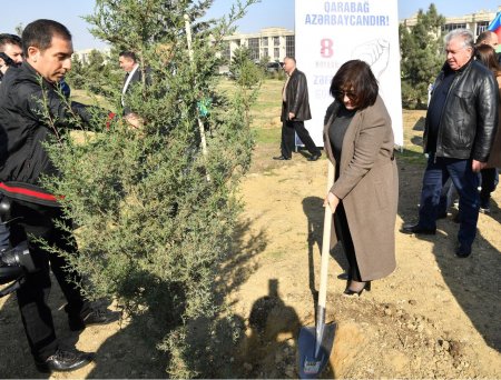 Milli Məclisin təşkilatçılığı ilə Zəfər Günü münasibətilə Bakıda ağacəkmə aksiyası keçirilib