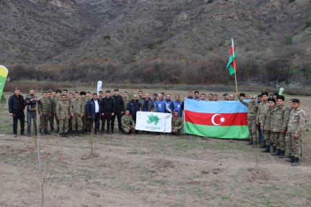 İşğaldan azad olunmuş daha bir ərazidə ağacəkmə aksiyası keçirilib