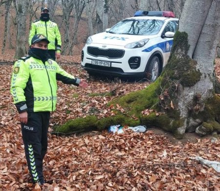 Qubada tüfəng və müxtəlif çaplı patronlar aşkarlanıb