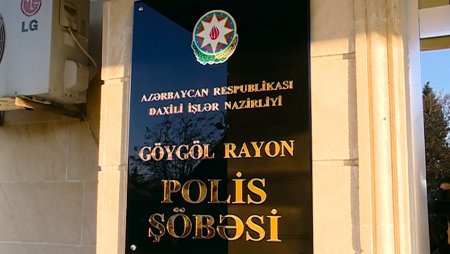 Göygöldə mağazalardan oğurluq edən şəxslər saxlanılıb