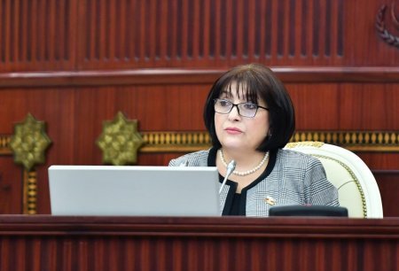 Milli Məclisin sədri Sahibə Qafarova parlamentdə çıxış etdi