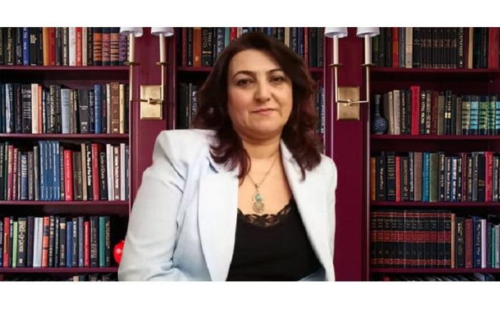 İsveçdəki Azərbaycanlı yazıçı Eluca Atalının "Kendini getir" kitabı mart ayında təqdim olunacaq - FOTO