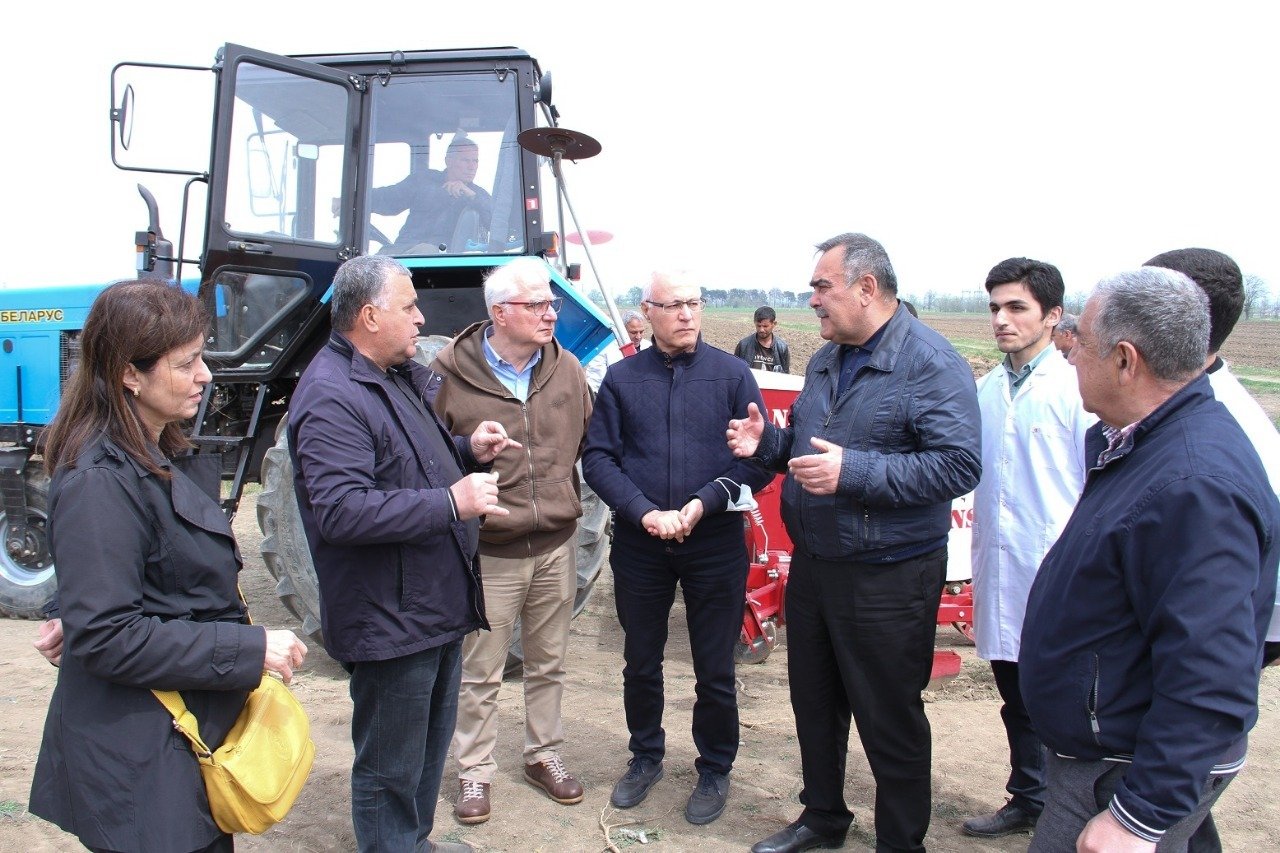 ADAU - Pambıqçılıqda yerli texnologiyalara və yerli sortlara üstünlük verilir - FOTO