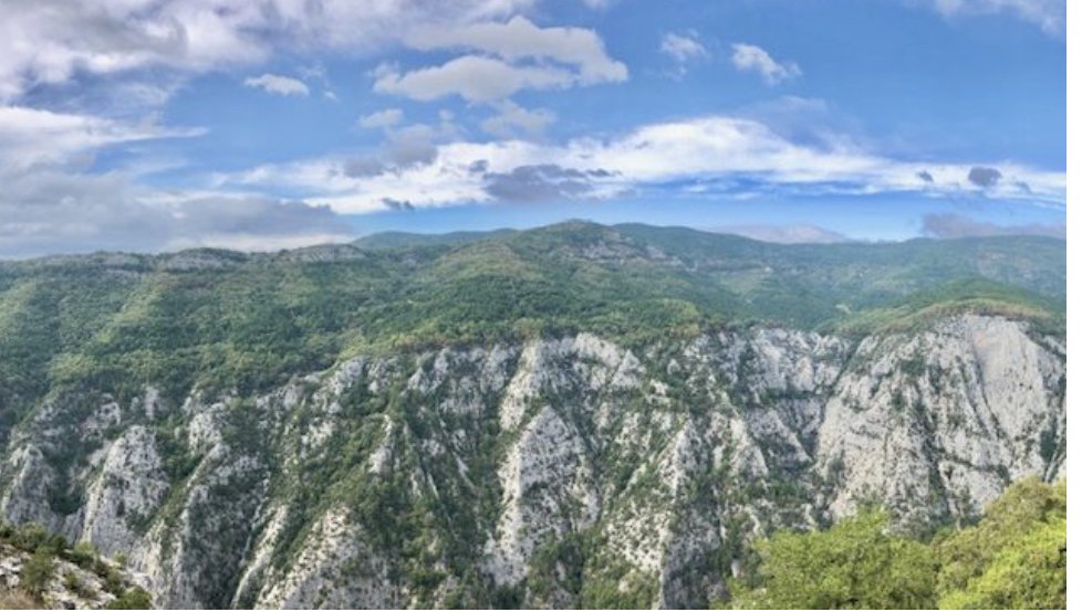 Kaz Dağları: Türkiye'nin "akciğerleri" - ÖZƏL