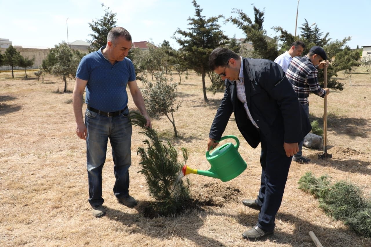 Ulu Öndər Heydər Əliyevin 100 illiyinə həsr olunan ağacəkmə aksiyası keçirilib.