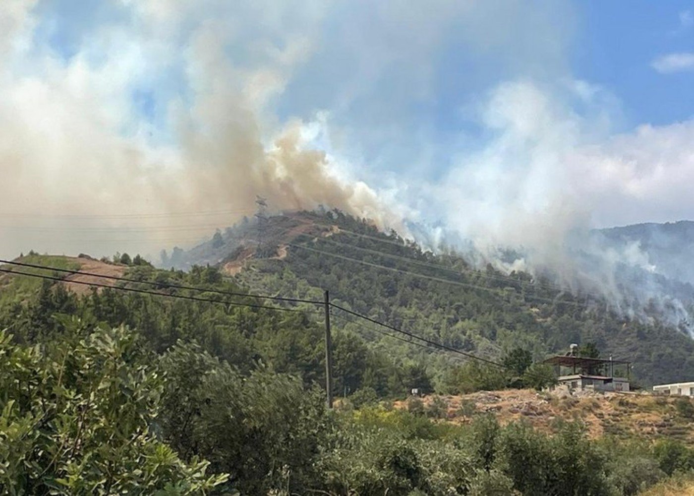 Hatayda meşə yanğını başlayıb