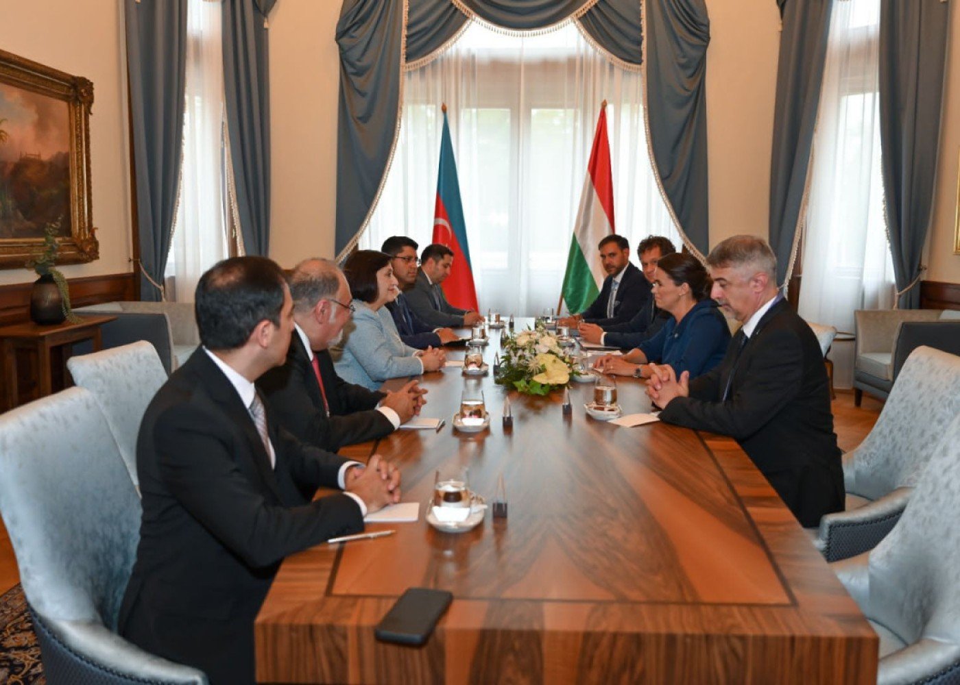 Sahibə Qafarova Macarıstan Prezidenti ilə görüşdü - FOTO