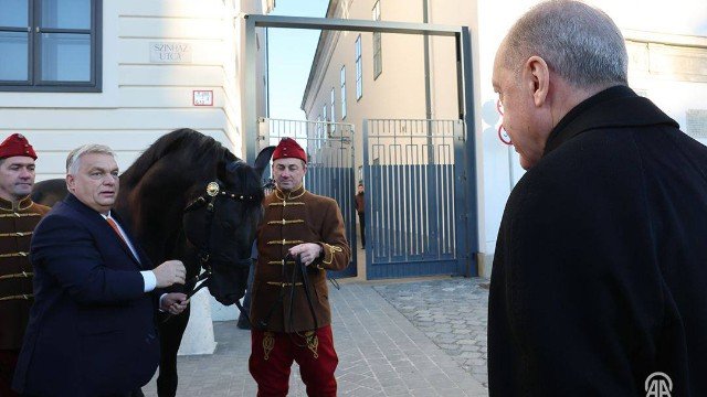 Macarıstanın Baş naziri Ərdoğana at bağışladı