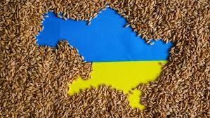 Ukraynanın “taxıl dəhlizi”nin fəaliyyəti özünü bərpa edib -
