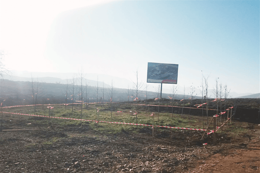 Yeni salınacaq Füzuli Mərkəzi Parkının ərazisində aparılan təmizlik işləri zamanı mövcud ağacların qorunması təmin edilir