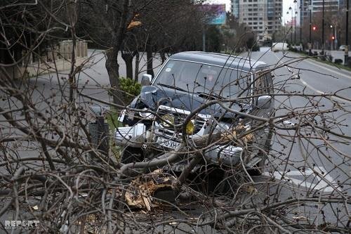 Sürücü sükan arxasında öldü: maşın ağaca çırpıldı