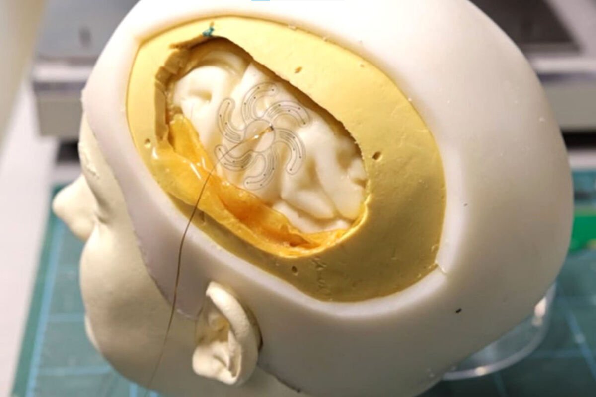 Alimlər ilk dəfə canlı beyni 3D çap edə bildilər