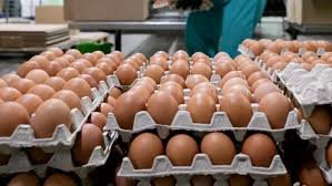 Azərbaycan Rusiyaya yumurta tədarükünü davam etdirir