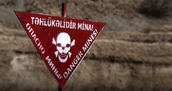 Ötən il Azərbaycanda 53 min hektardan çox işğaldan azad edilmiş ərazi minalardan təmizlənib