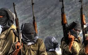PKK terror təşkilatını dəstəkləyən 89 nəfər saxlanıldı -