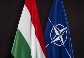 NATO-nun koordinasiya rolunun planlaşdırılmasında iştirak etməyəcəyik -