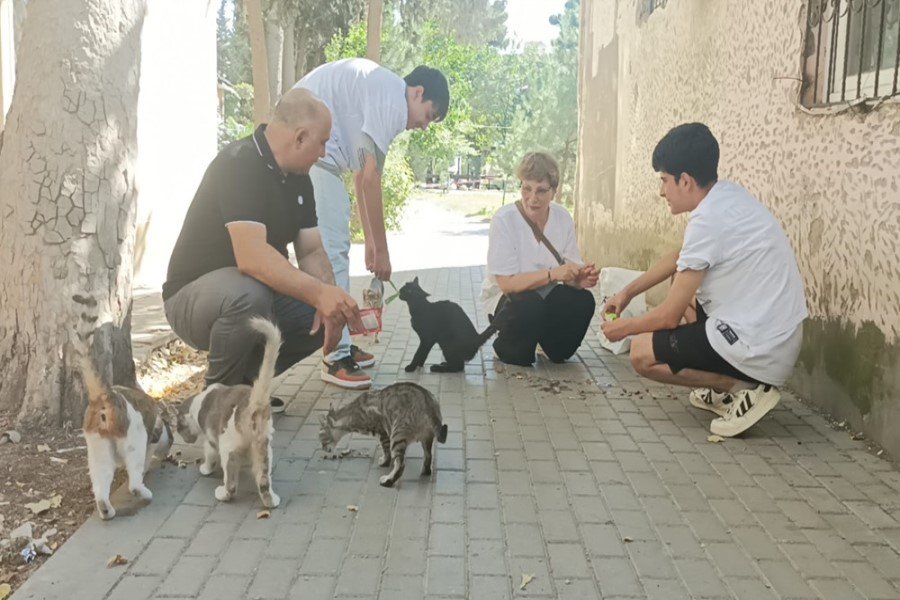 Səma və Eko Sosial İqtisadi İnkişafa Yardım İctimai Birliyi Hacıkənddə sahibsiz heyvanlarla bağlı aksiya keçirib - FOTOLAR