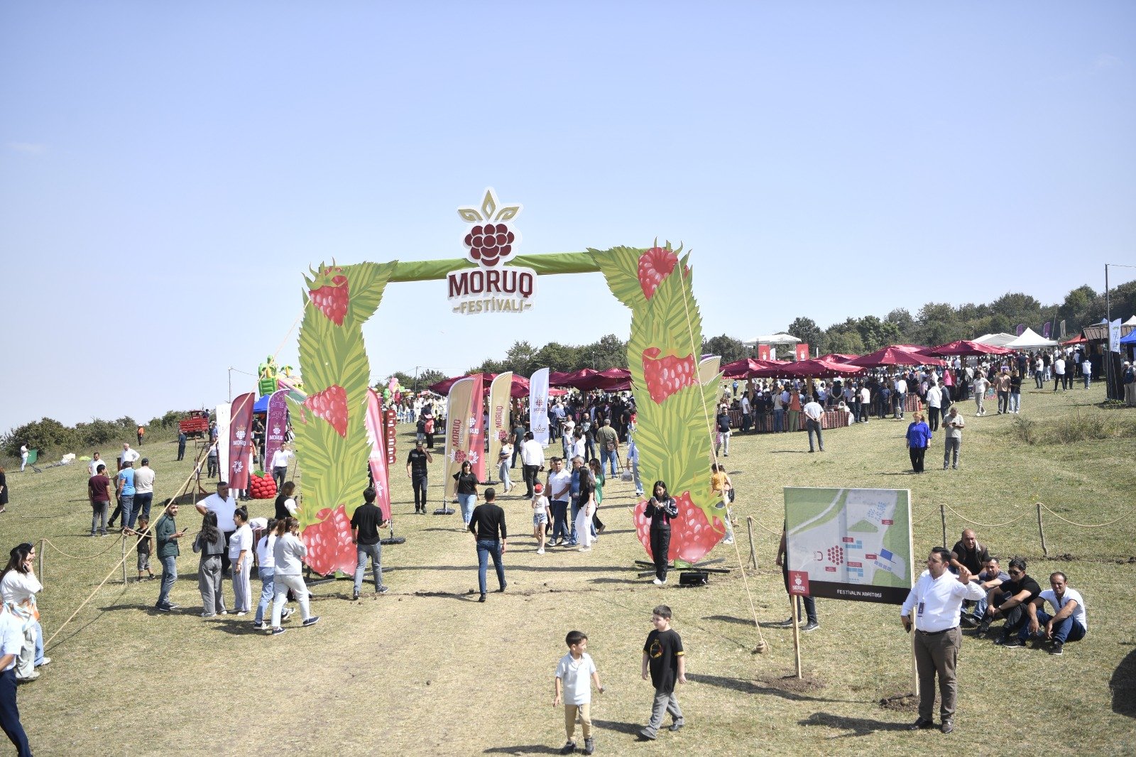 Göygöldə ilk dəfə olaraq “Moruq Festivalı” keçirilir