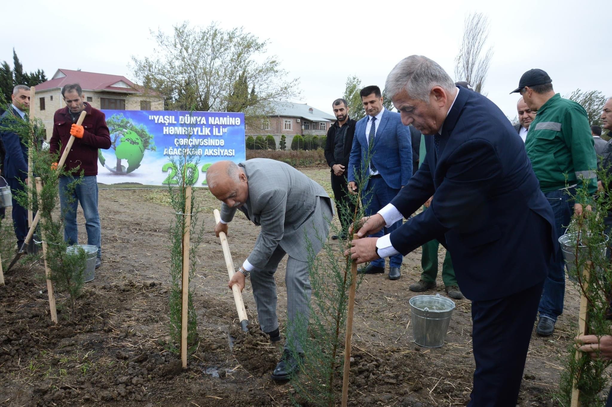 Masallıda kütləvi ağacəkmə aksiyasına start verilib -