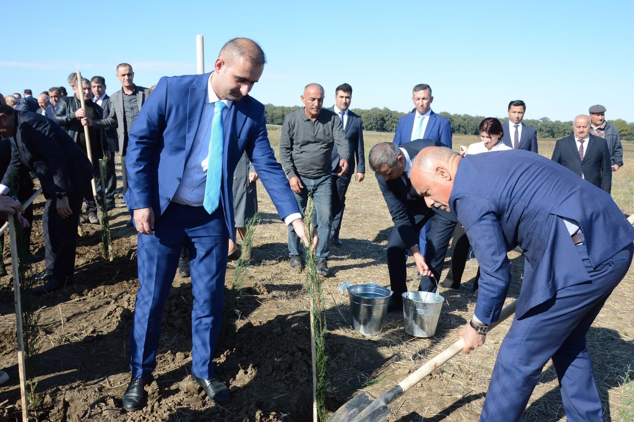 Masallıda növbəti dəfə kütləvi ağacəkmə aksiyası keçirildi