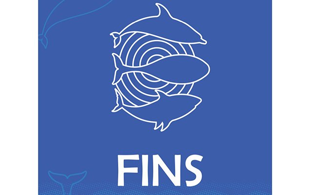 COP29-da FINS Initiativ