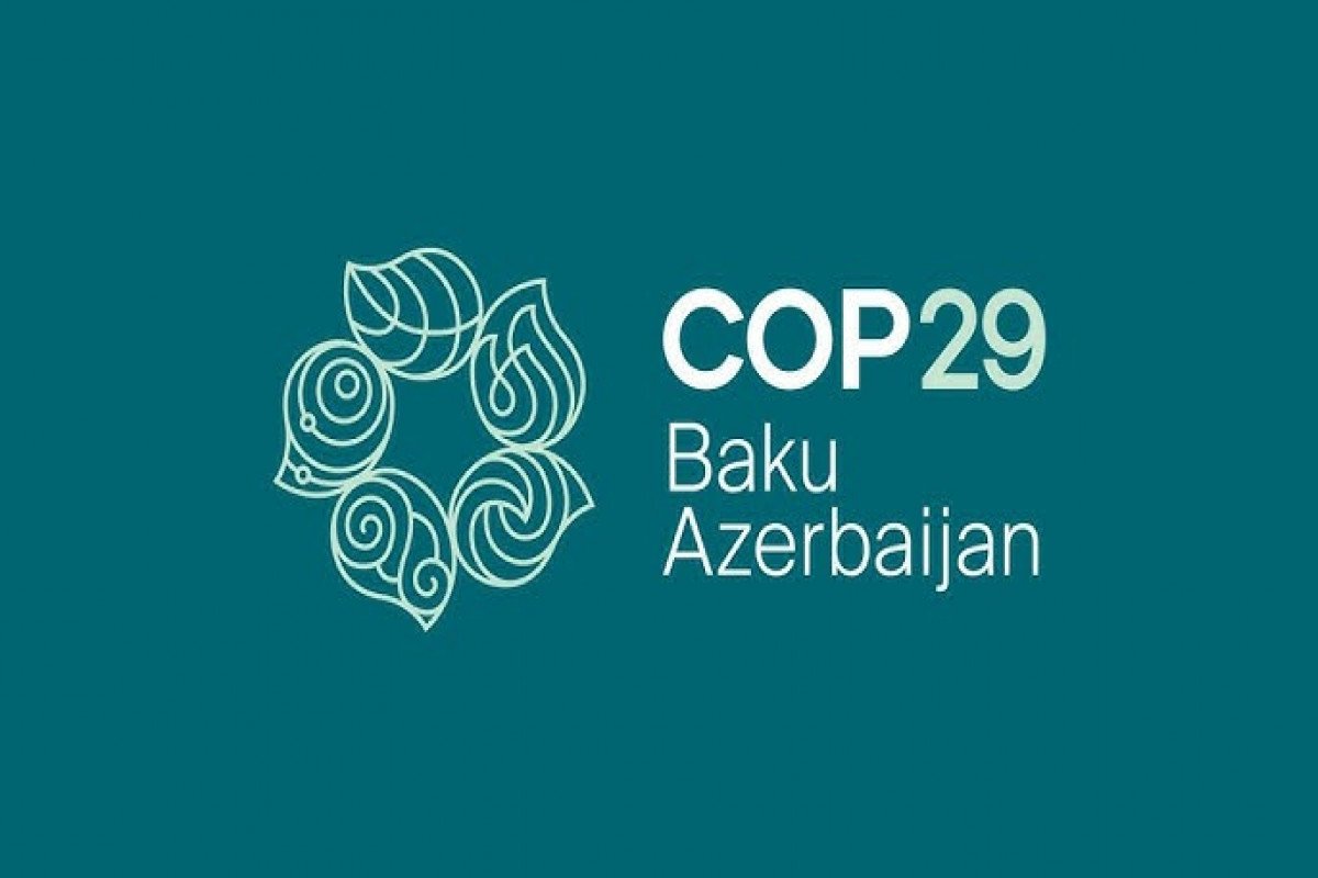 Milli Məclisin komissiyası COP29-a qarşı hibrid hücumlara dair hesabat hazırlayıb