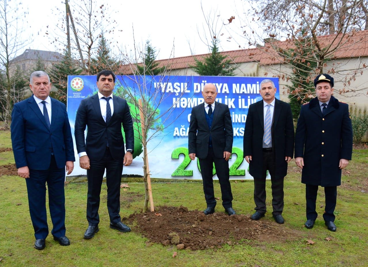 Masallının “Park Bulvar” ərazisində ağacəkmə aksiyası