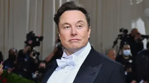 Elon Musk-ın TikTok-u almaq kimi bir fikri yoxdur