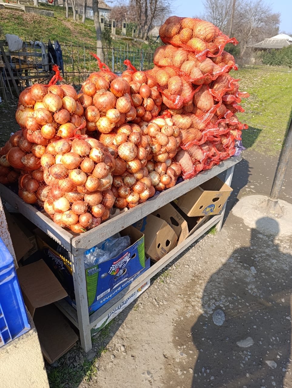 Masallı rayonunda xeyriyyə aksiyaları gündəlik olaraq davam etdirilir.