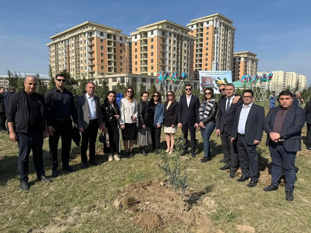 Sumqayıtda “Konstitusiya və Suverenlik İli” çərçivəsində ağacəkmə aksiyası keçirilib