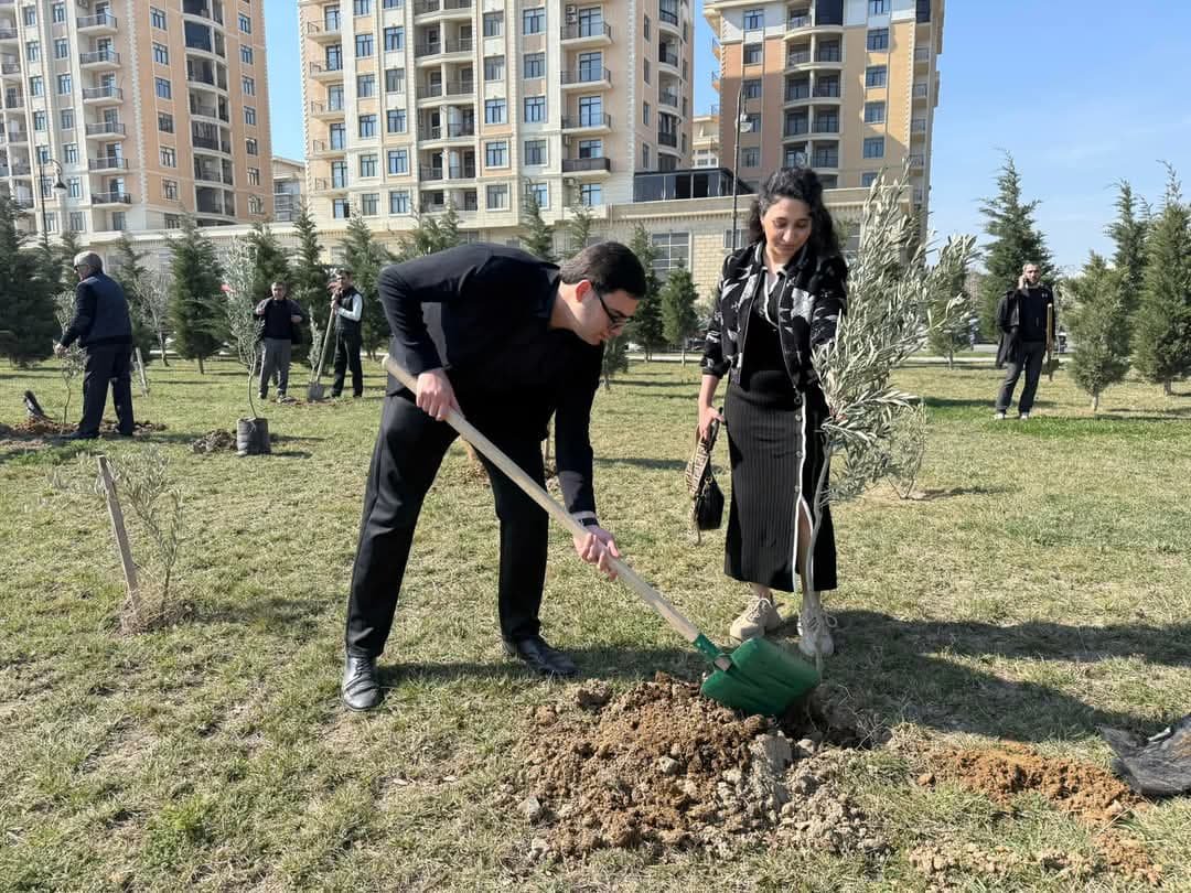 Sumqayıtda “Konstitusiya və Suverenlik İli” çərçivəsində ağacəkmə aksiyası keçirilib