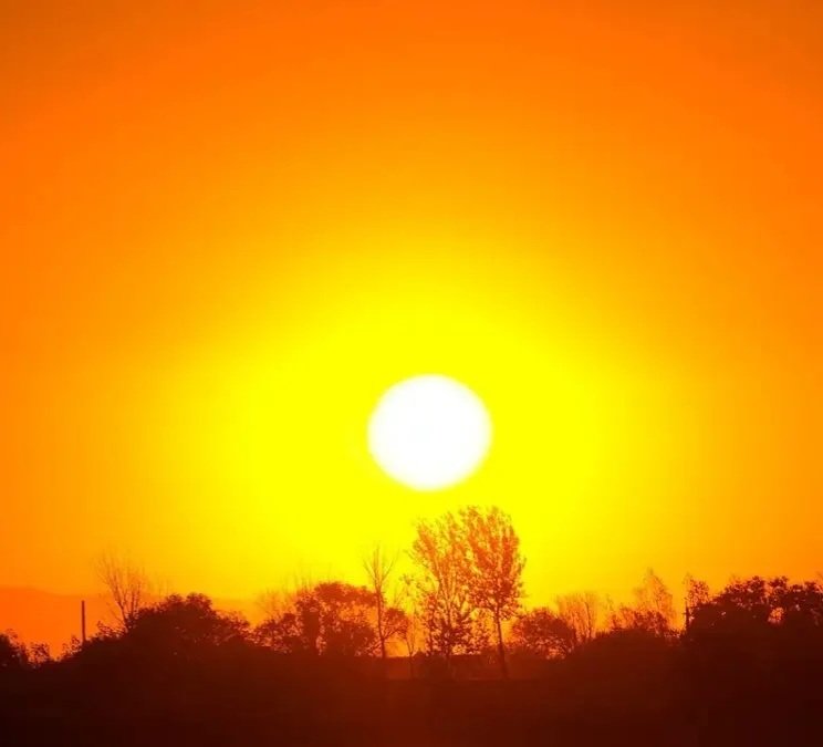 Yaxın beş ildə orta qlobal temperatur rekord yüksək səviyyədə olacaq