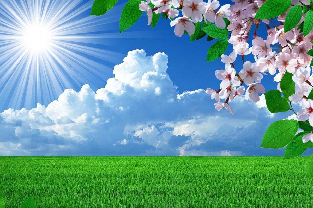 İyunda temperatur iqlim normasına yaxın, bəzi yerlərdə yüksək olacaq - AYLIQ PROQNOZ
