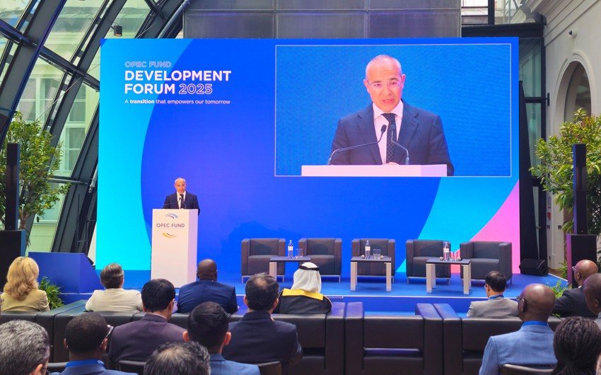 "İqlim fəaliyyətini sürətləndirən tərəfdaşlıqların gücləndirilməsi önəm kəsb edir"